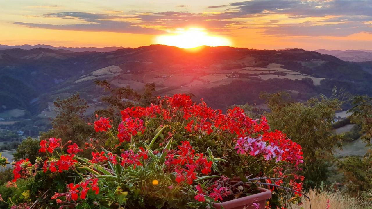 B&B Marcantonio Country House Sogliano al Rubicone Dış mekan fotoğraf
